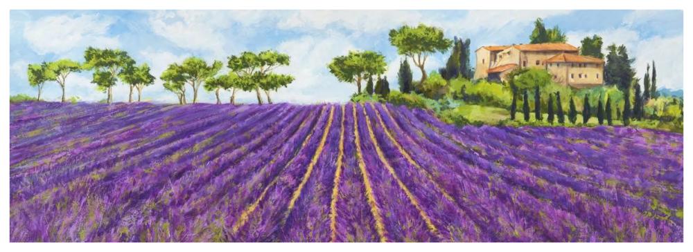 Campagna provenzale-Paper Art-74"x26"