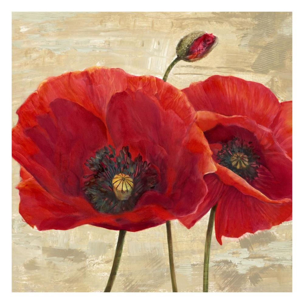 Red Poppies (detail II)-Paper Art-26"x26"