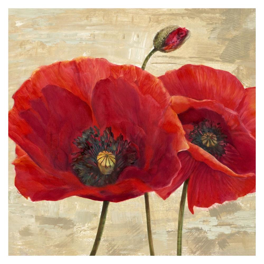 Red Poppies (detail II)-Paper Art-32"x32"