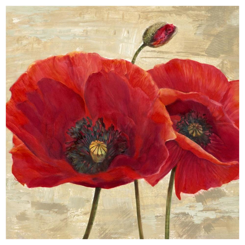 Red Poppies (detail II)-Paper Art-42"x42"