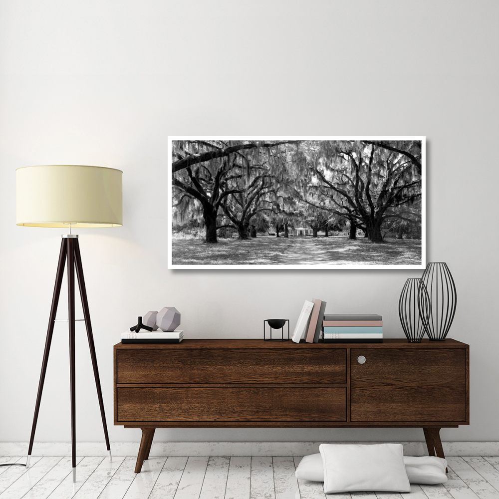 Avenue of oaks, South Carolina-Paper Art-62&quotx32"