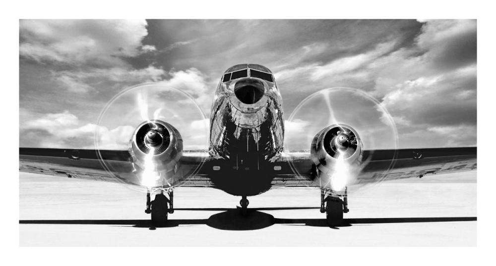 Airplaine taking off-Paper Art-26"x14"