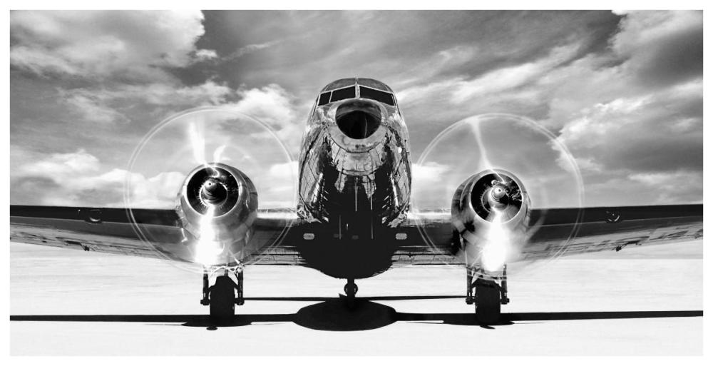 Airplaine taking off-Paper Art-74"x38"