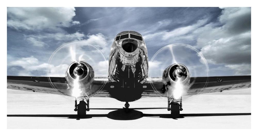 Airplaine taking off in a blue sky-Paper Art-38"x20"