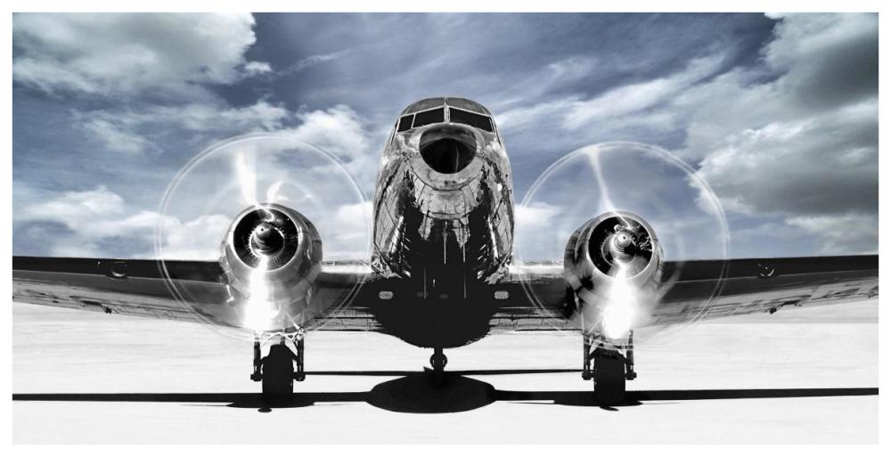 Airplaine taking off in a blue sky-Paper Art-74"x38"