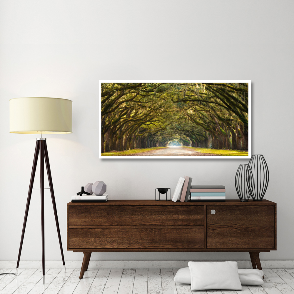 Path lined with  oak trees-Paper Art-62&quotx32"
