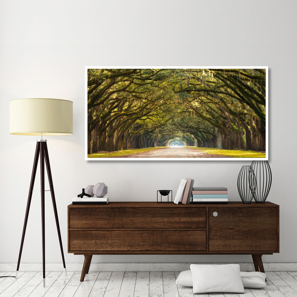 Path lined with  oak trees-Paper Art-74&quotx38"