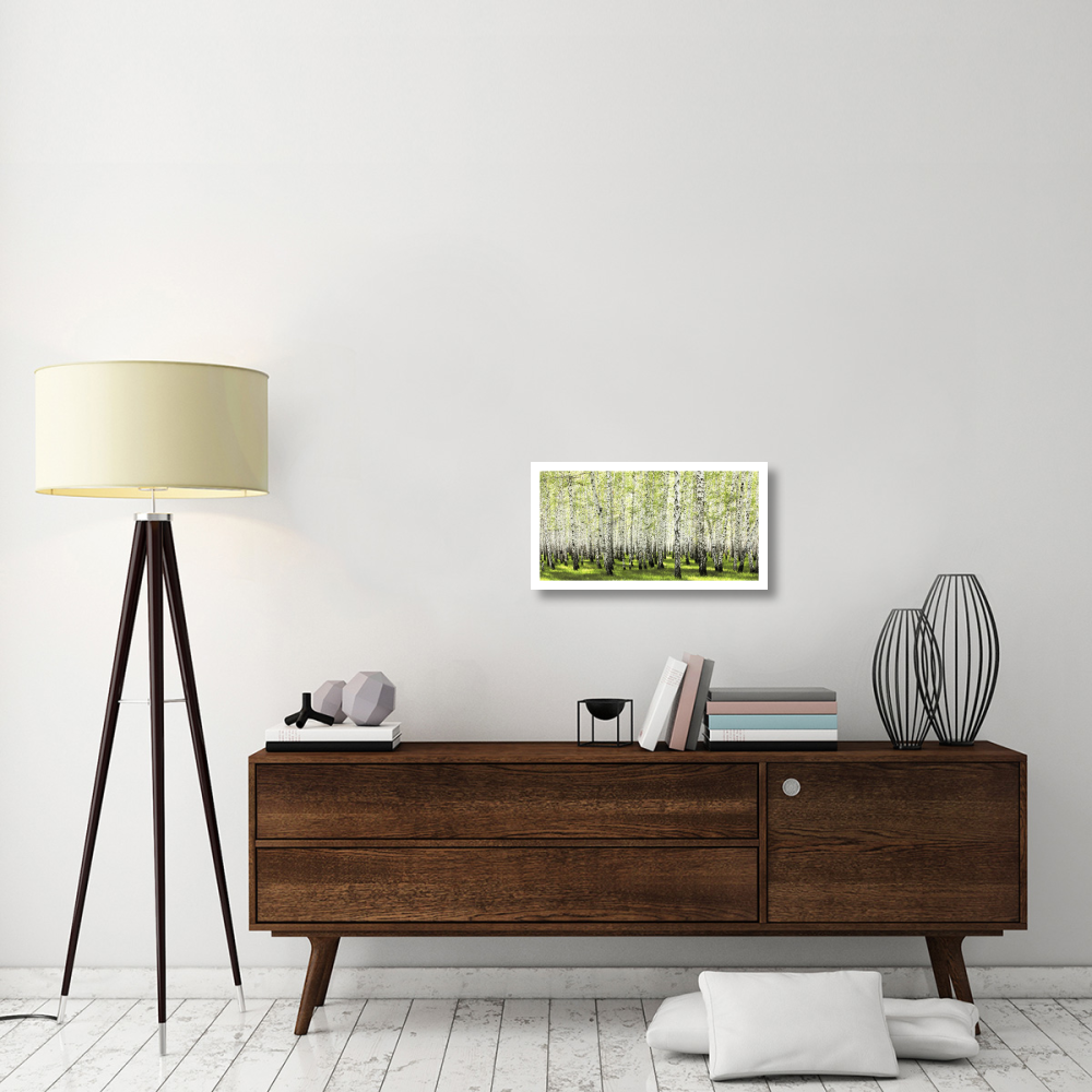 Birch forest in spring-Paper Art-26&quotx14"