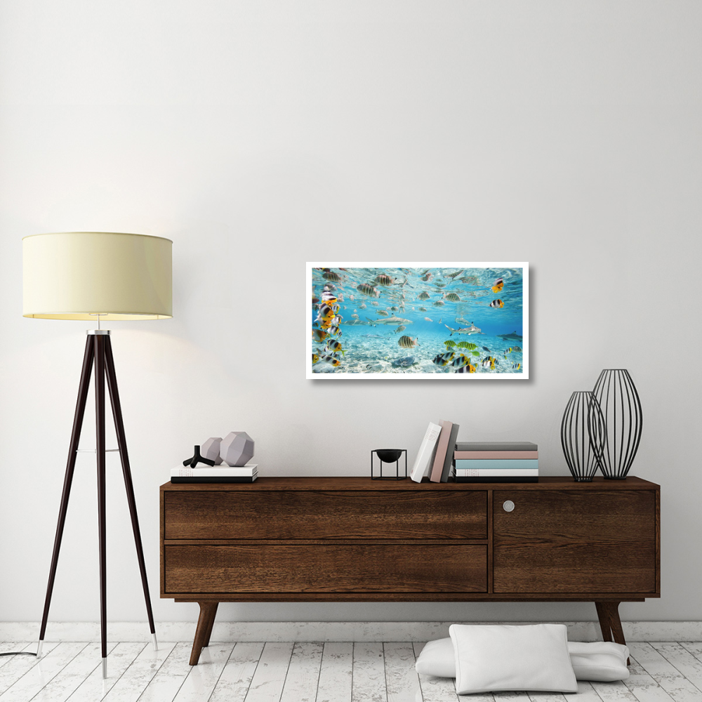 Fish and sharks in Bora Bora lagoon-Paper Art-38&quotx20"
