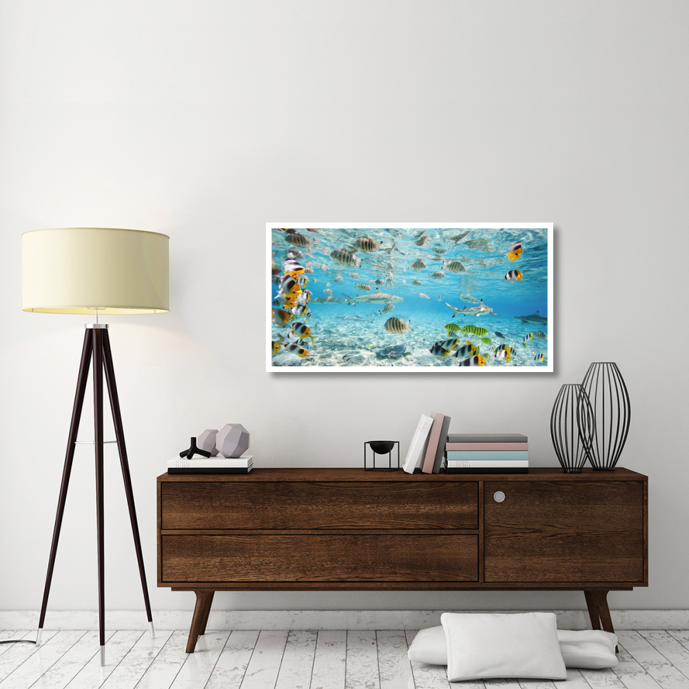 Fish and sharks in Bora Bora lagoon-Paper Art-50&quotx26"