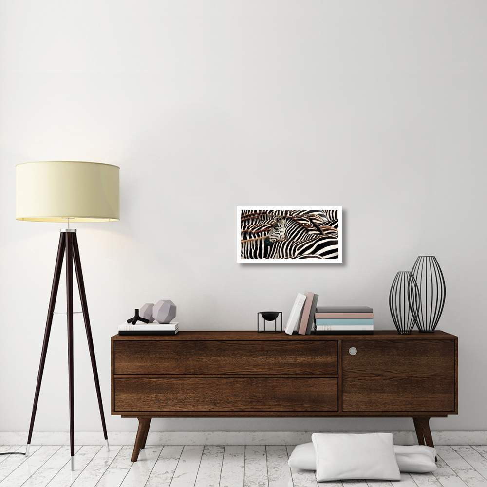 Herd of zebras-Paper Art-26&quotx14"