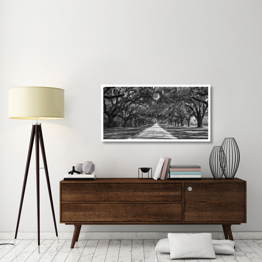 Tree lined plantation entrance,  South Carolina-Paper Art-50&quotx26"
