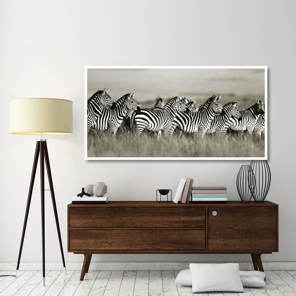 Grant's zebra, Masai Mara, Kenya-Paper Art-74&quotx38"