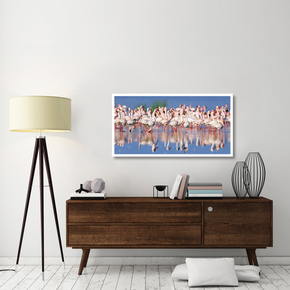 Lesser flamingo, Lake Nakuru, Kenya-Paper Art-50&quotx26"