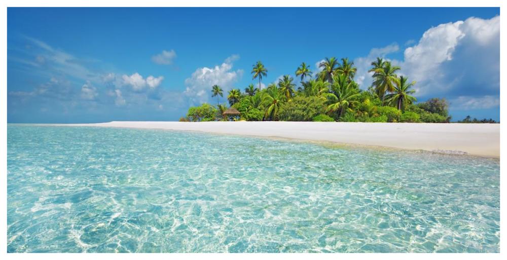 Palm island, Maldives-Paper Art-74"x38"