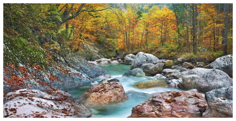 Mountain brook and rocks, Carinthia, Austria-Paper Art-74"x38"