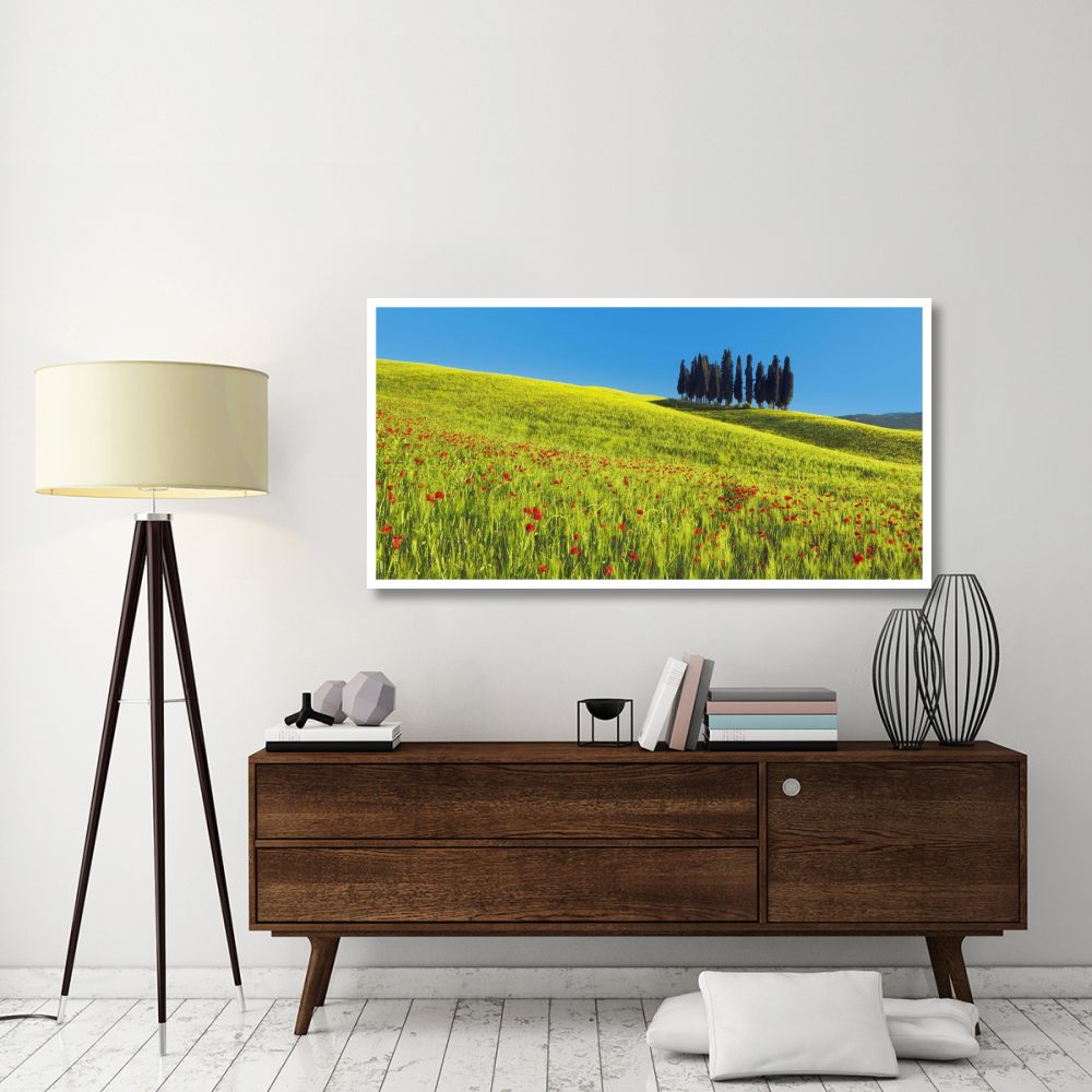 Cypress and corn field, Tuscany, Italy-Paper Art-62&quotx32"