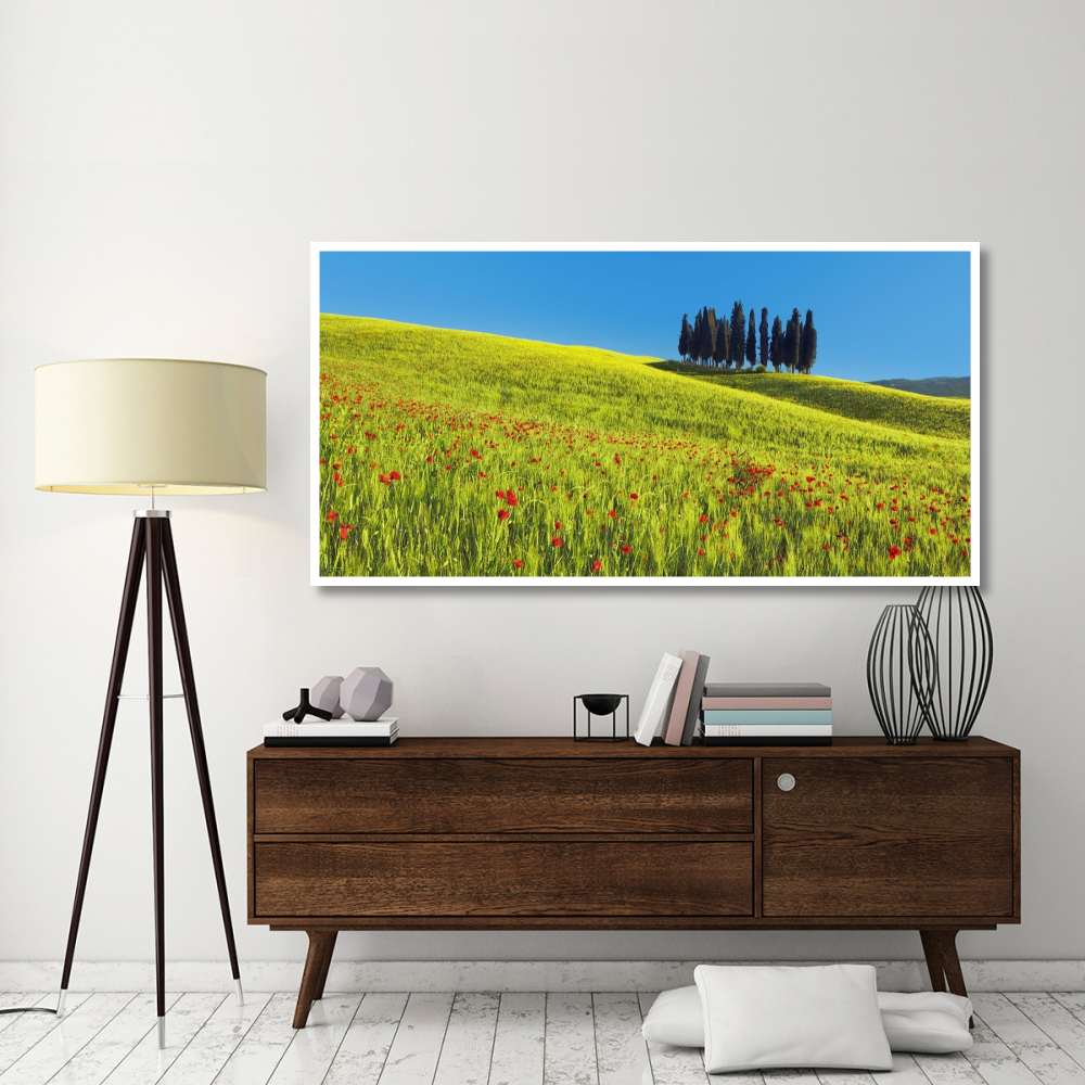 Cypress and corn field, Tuscany, Italy-Paper Art-74&quotx38"