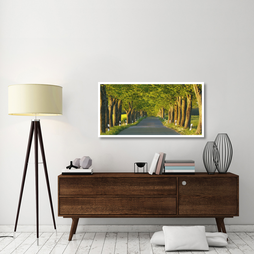 Lime tree alley, Mecklenburg Lake District, Germany-Paper Art-50&quotx26"