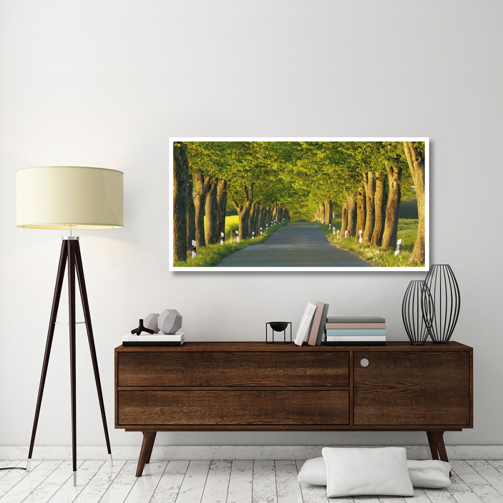 Lime tree alley, Mecklenburg Lake District, Germany-Paper Art-62&quotx32"