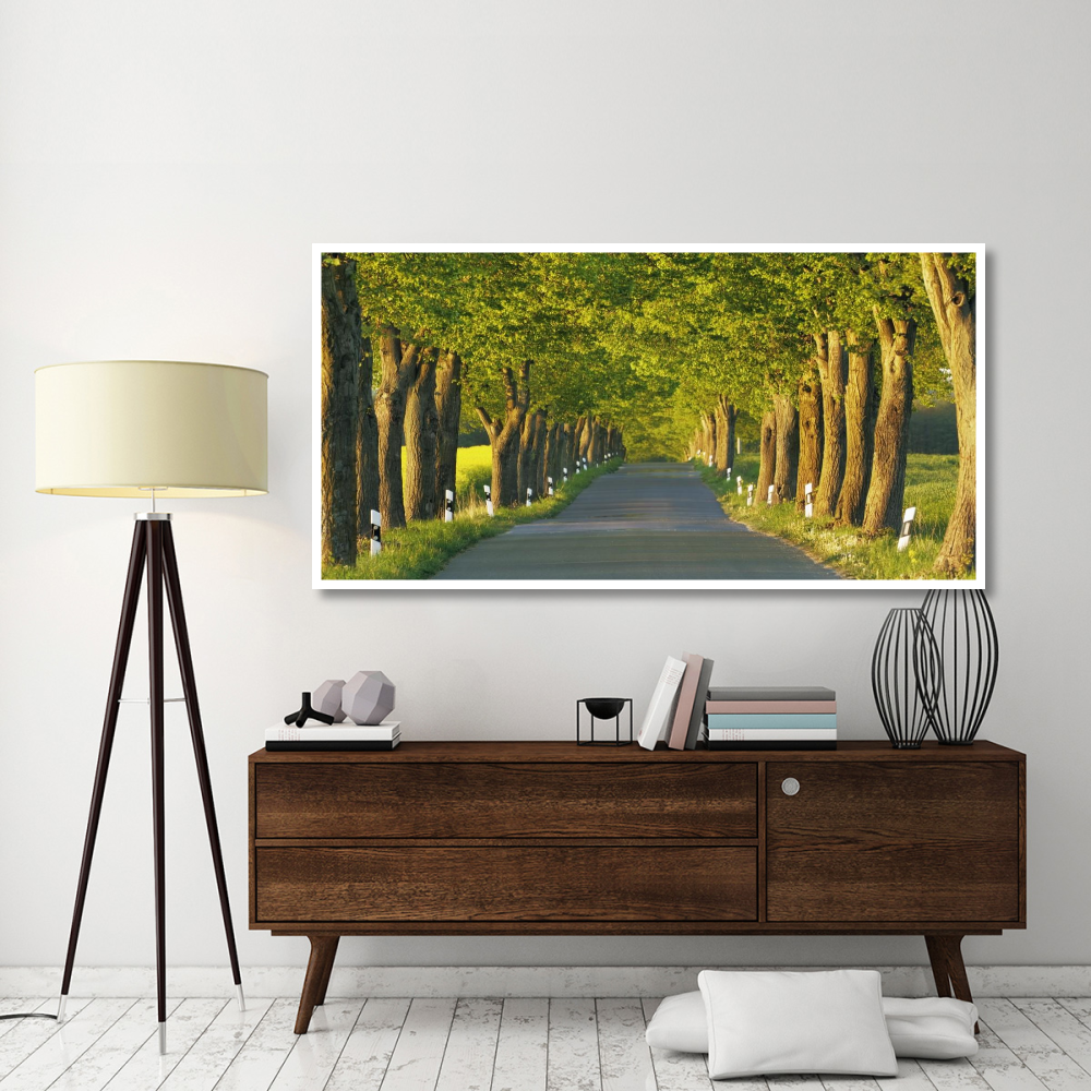 Lime tree alley, Mecklenburg Lake District, Germany-Paper Art-74&quotx38"
