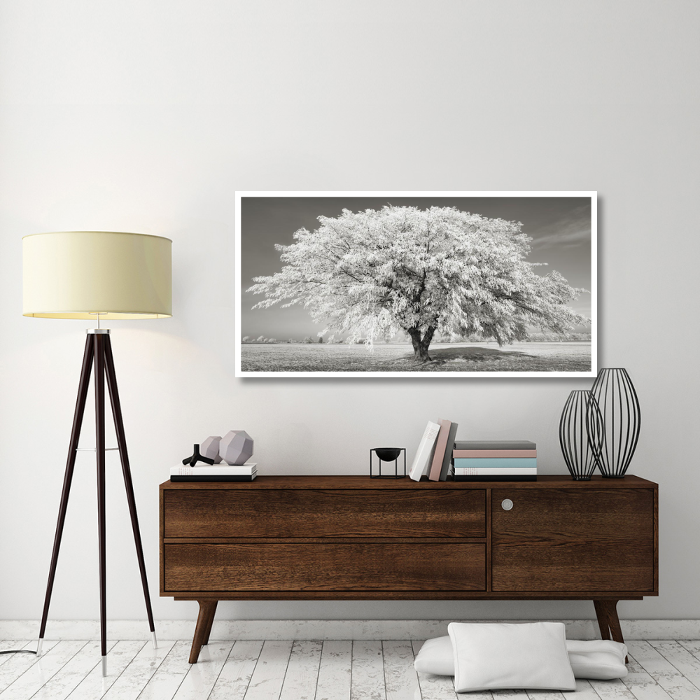 Lime tree with frost, Bavaria, Germany-Paper Art-62&quotx32"