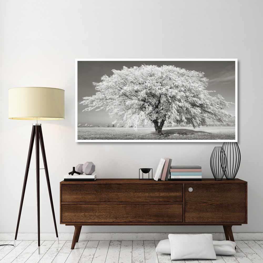 Lime tree with frost, Bavaria, Germany-Paper Art-74&quotx38"