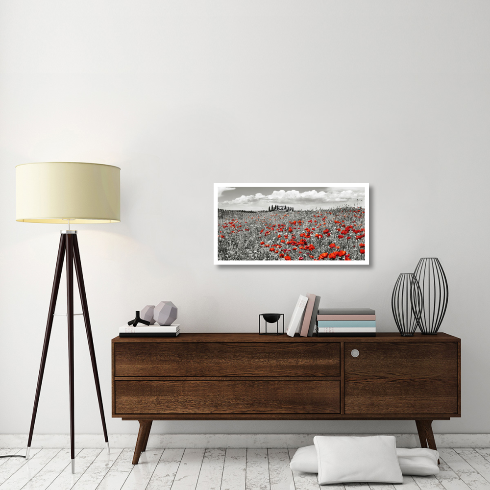 Farm house with cypresses and poppies, Tuscany, Italy-Paper Art-38&quotx20"