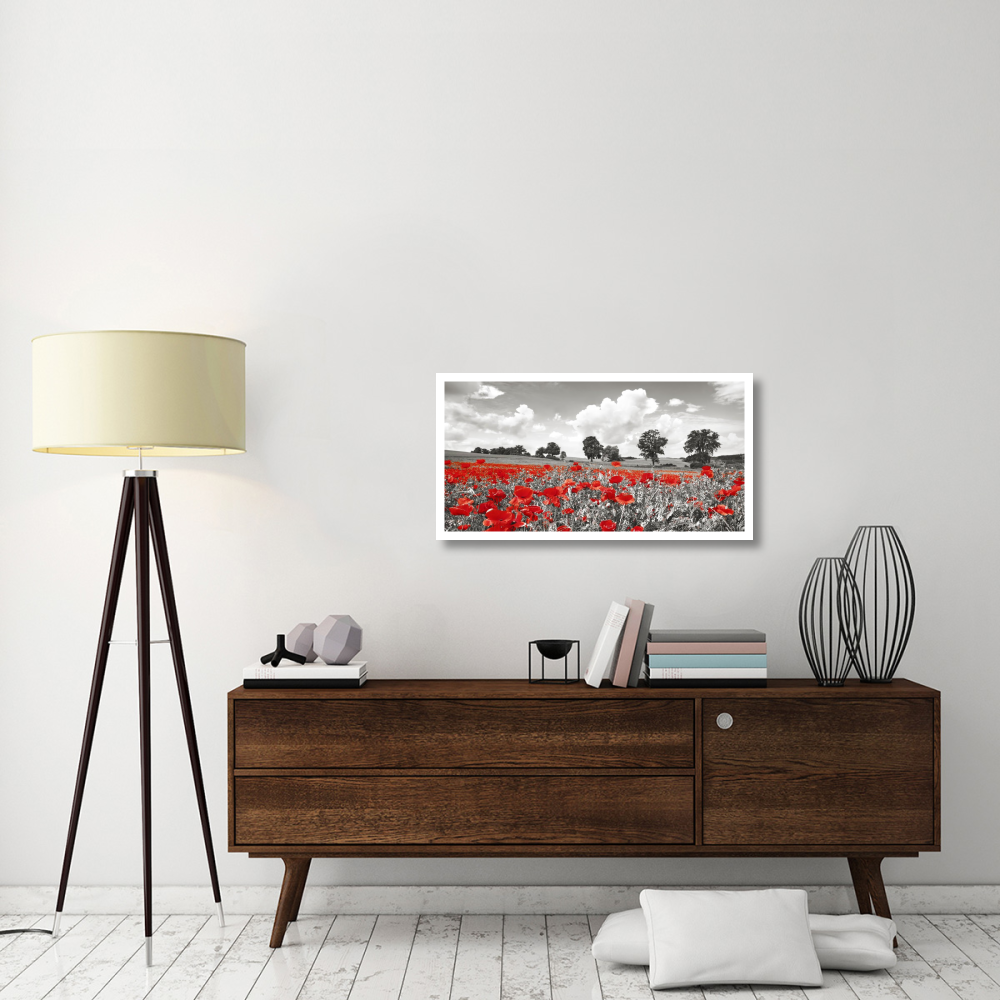 Poppies and vicias in meadow, Mecklenburg Lake District, Germany-Paper Art-38&quotx20"