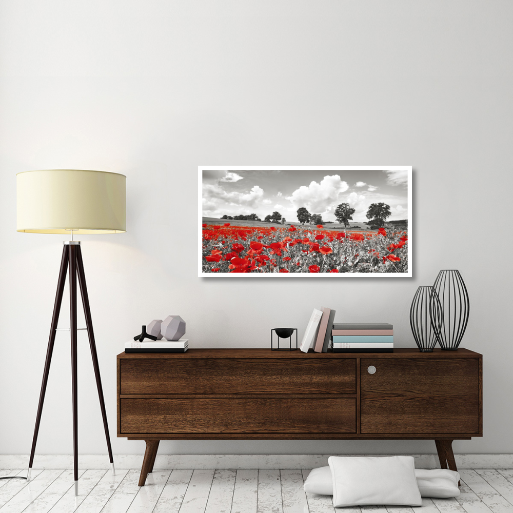 Poppies and vicias in meadow, Mecklenburg Lake District, Germany-Paper Art-50&quotx26"