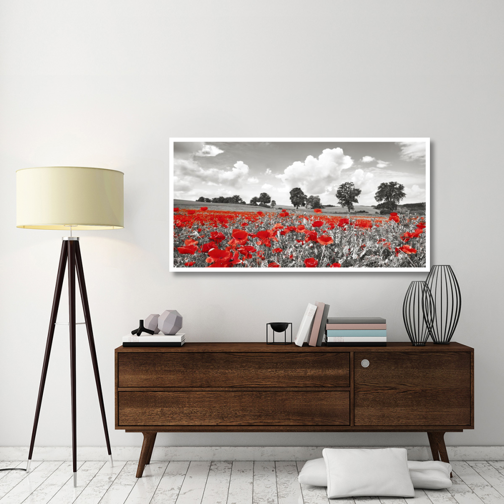 Poppies and vicias in meadow, Mecklenburg Lake District, Germany-Paper Art-62&quotx32"
