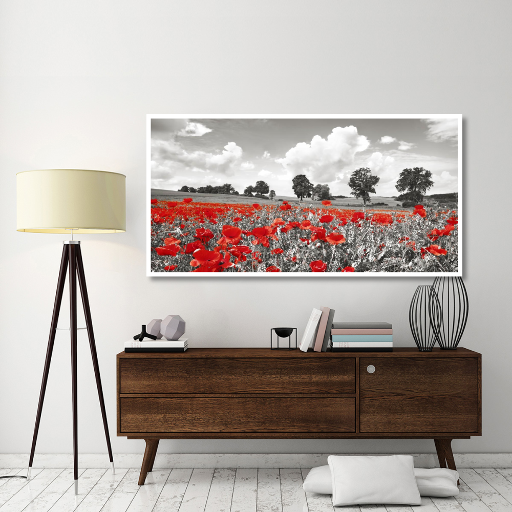 Poppies and vicias in meadow, Mecklenburg Lake District, Germany-Paper Art-74&quotx38"