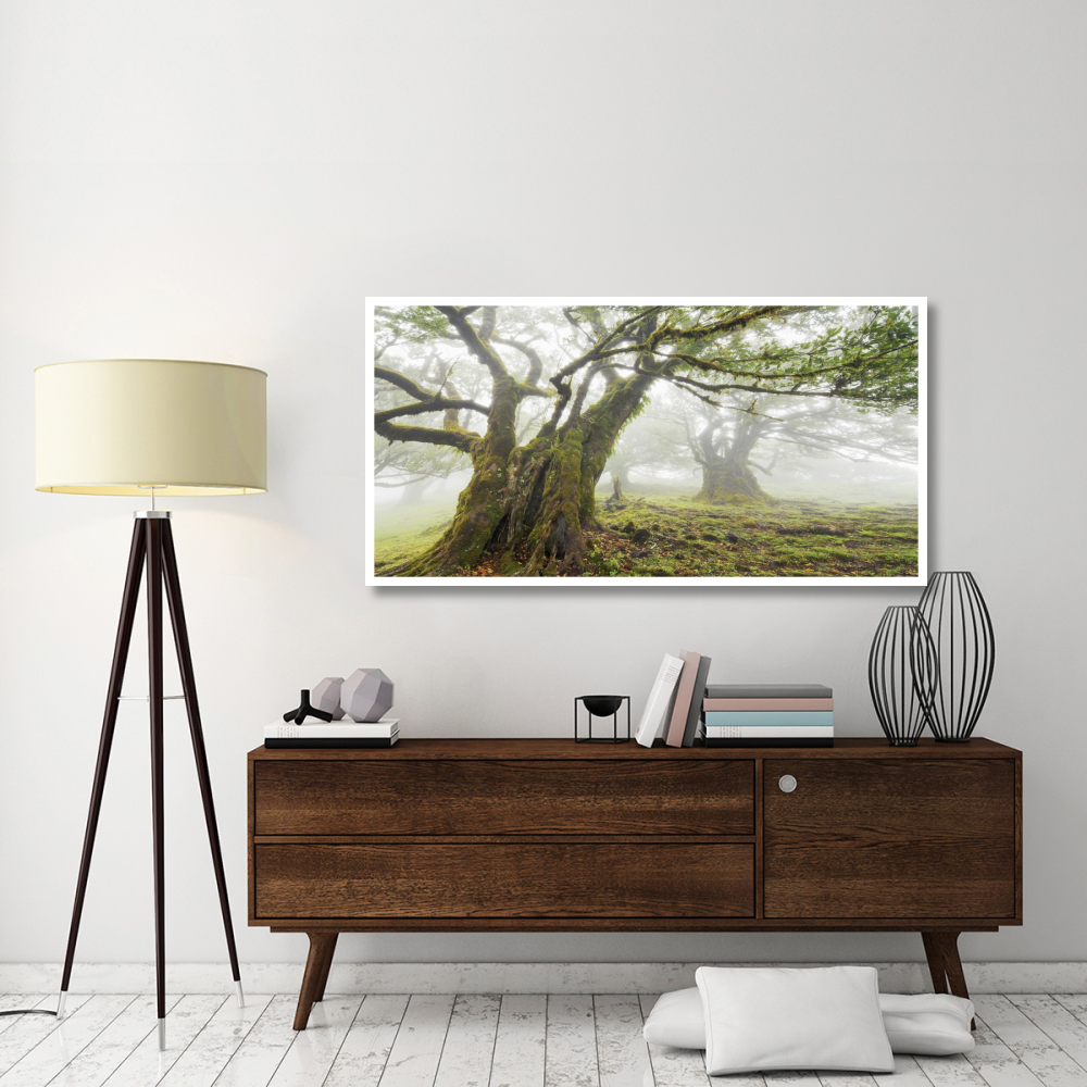 Laurel forest in fog, Madeira, Portugal-Paper Art-62&quotx32"