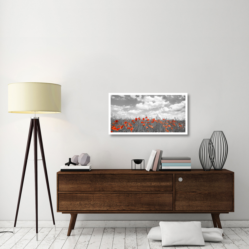 Poppies in corn field, Bavaria, Germany-Paper Art-38&quotx20"