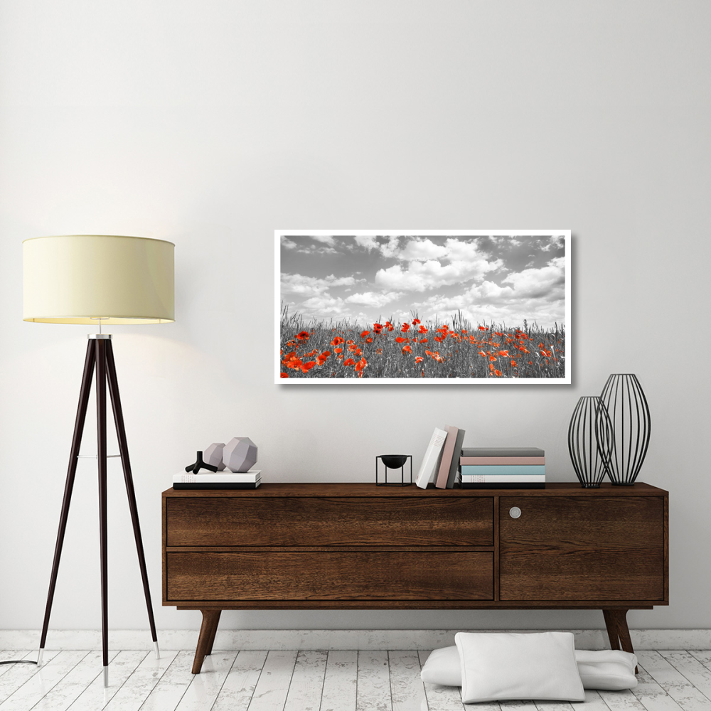 Poppies in corn field, Bavaria, Germany-Paper Art-50&quotx26"