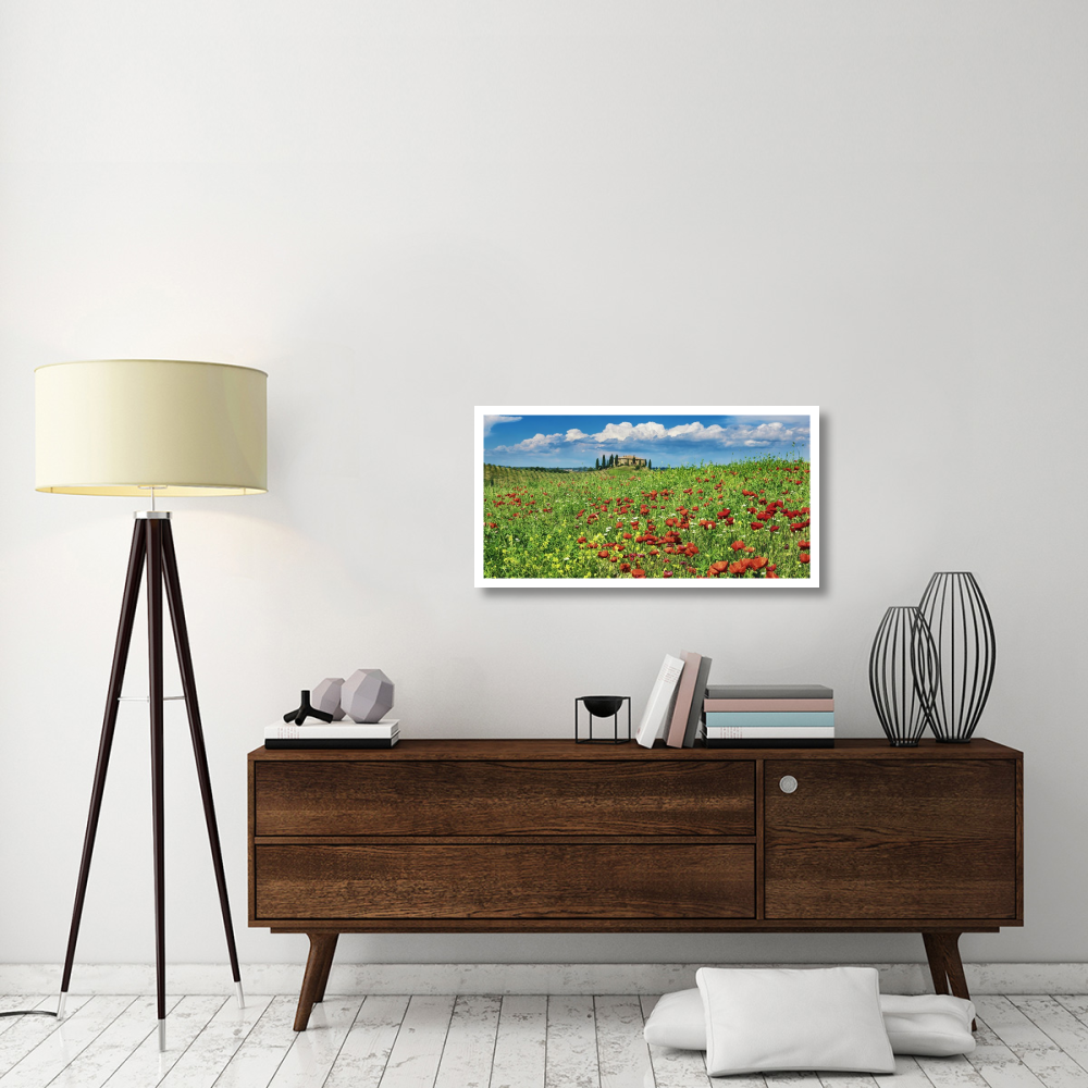 Farm house with cypresses and poppies, Tuscany, Italy-Paper Art-38&quotx20"