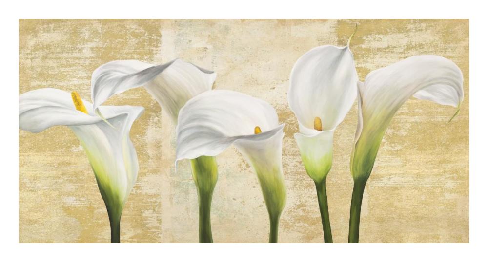 Callas on Gold (neutral variation)-Paper Art-26"x14"