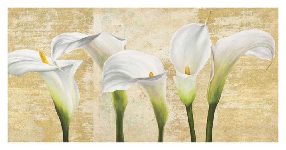 Callas on Gold (neutral variation)-Paper Art-38"x20"