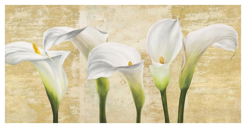 Callas on Gold (neutral variation)-Paper Art-50"x26"