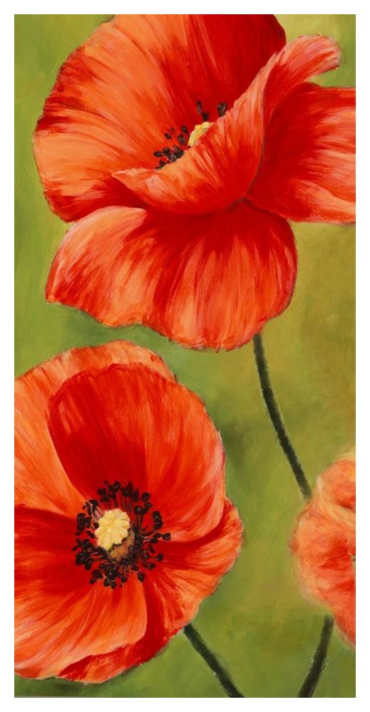 Poppies in the wind I-Paper Art-26"x50"