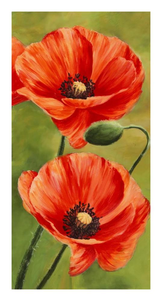 Poppies in the wind II-Paper Art-14"x26"