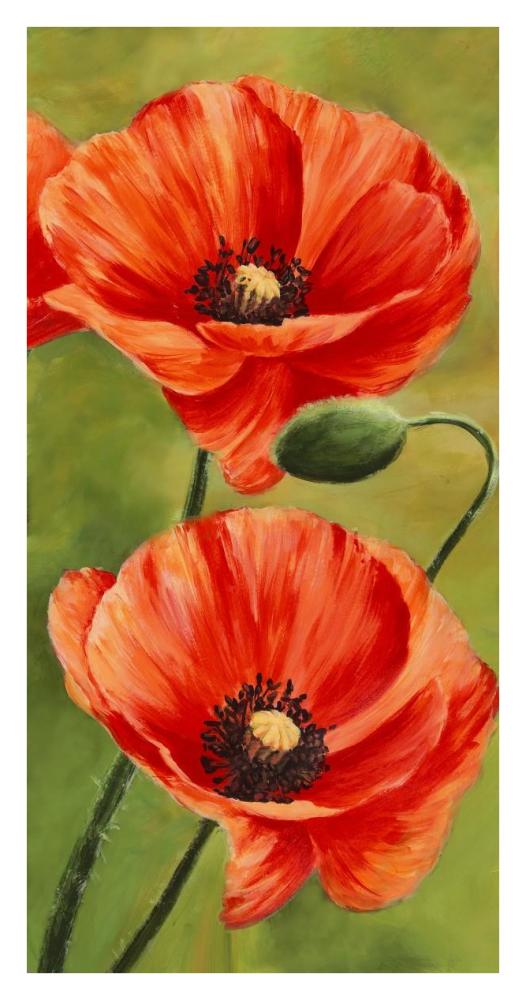 Poppies in the wind II-Paper Art-20"x38"