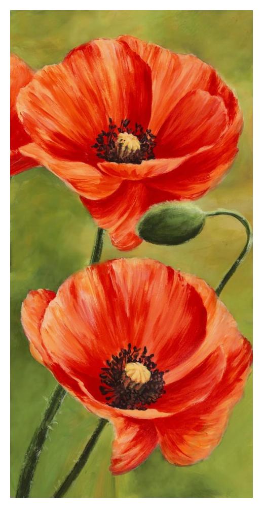 Poppies in the wind II-Paper Art-26"x50"
