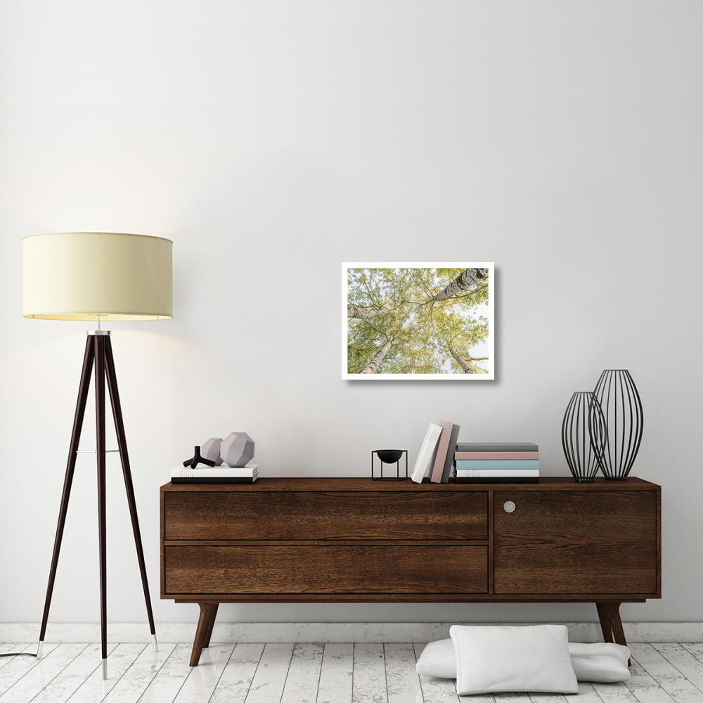 Birch woods in spring-Paper Art-26&quotx20"