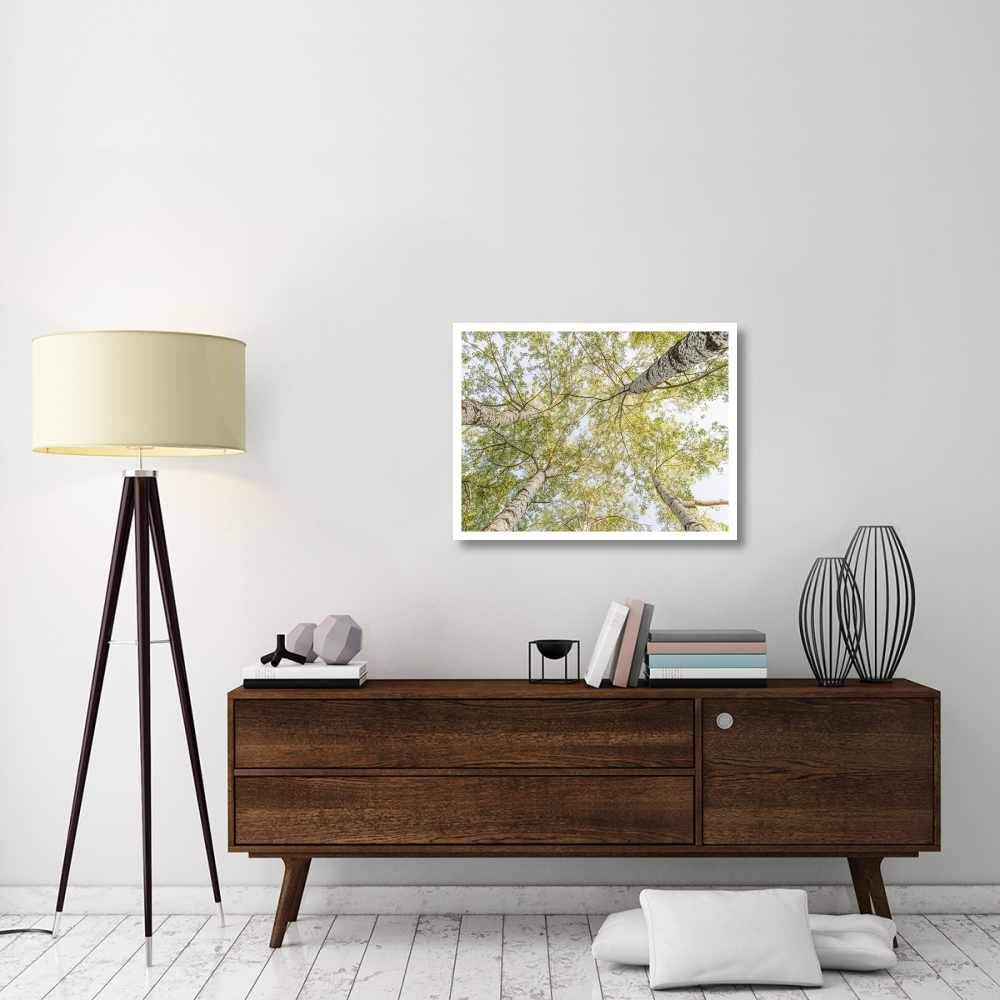 Birch woods in spring-Paper Art-34&quotx26"