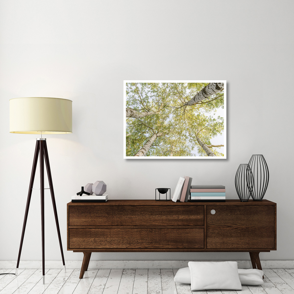 Birch woods in spring-Paper Art-42&quotx32"