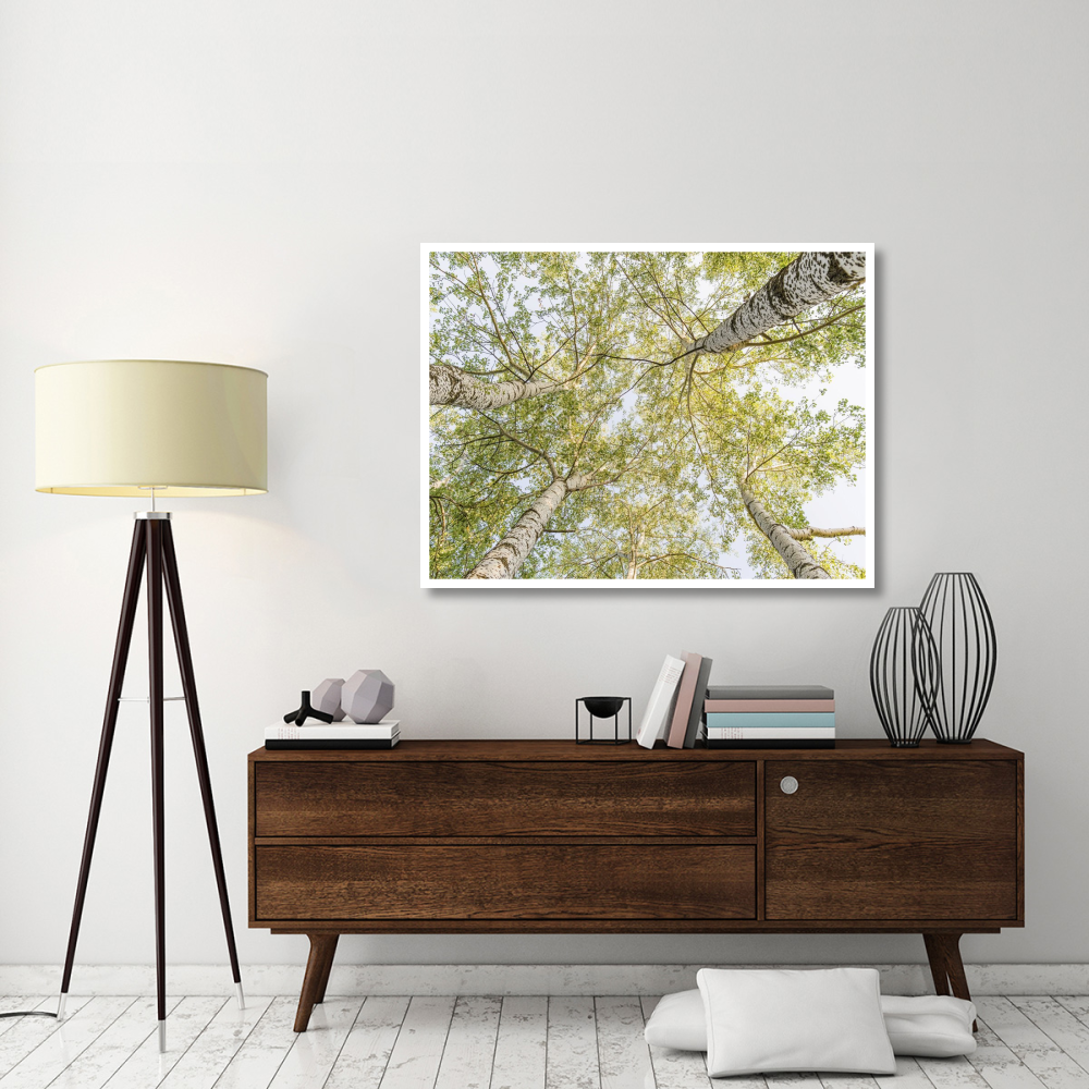Birch woods in spring-Paper Art-50&quotx38"