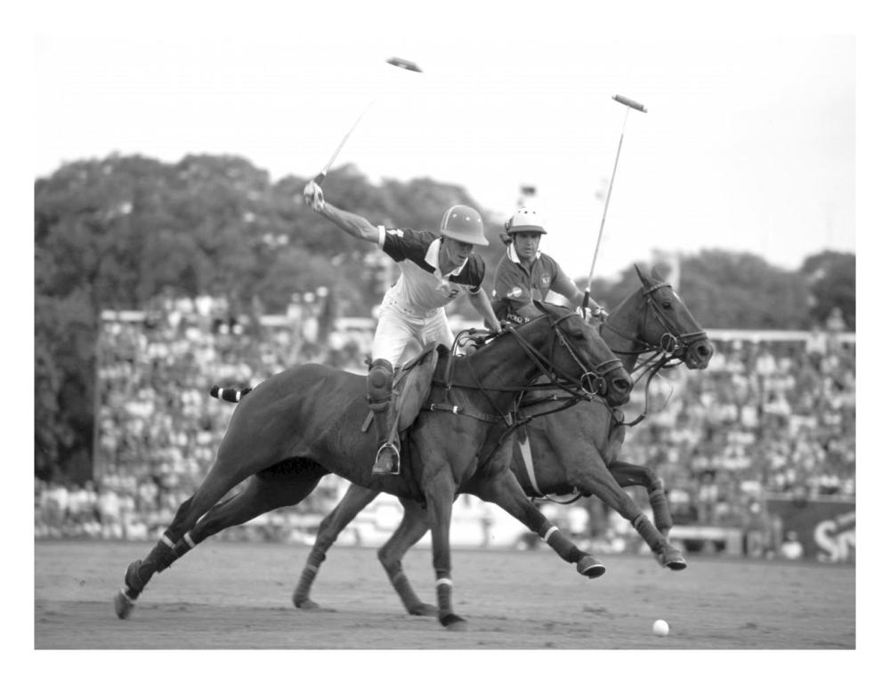 Polo players, Argentina-Paper Art-26"x20"