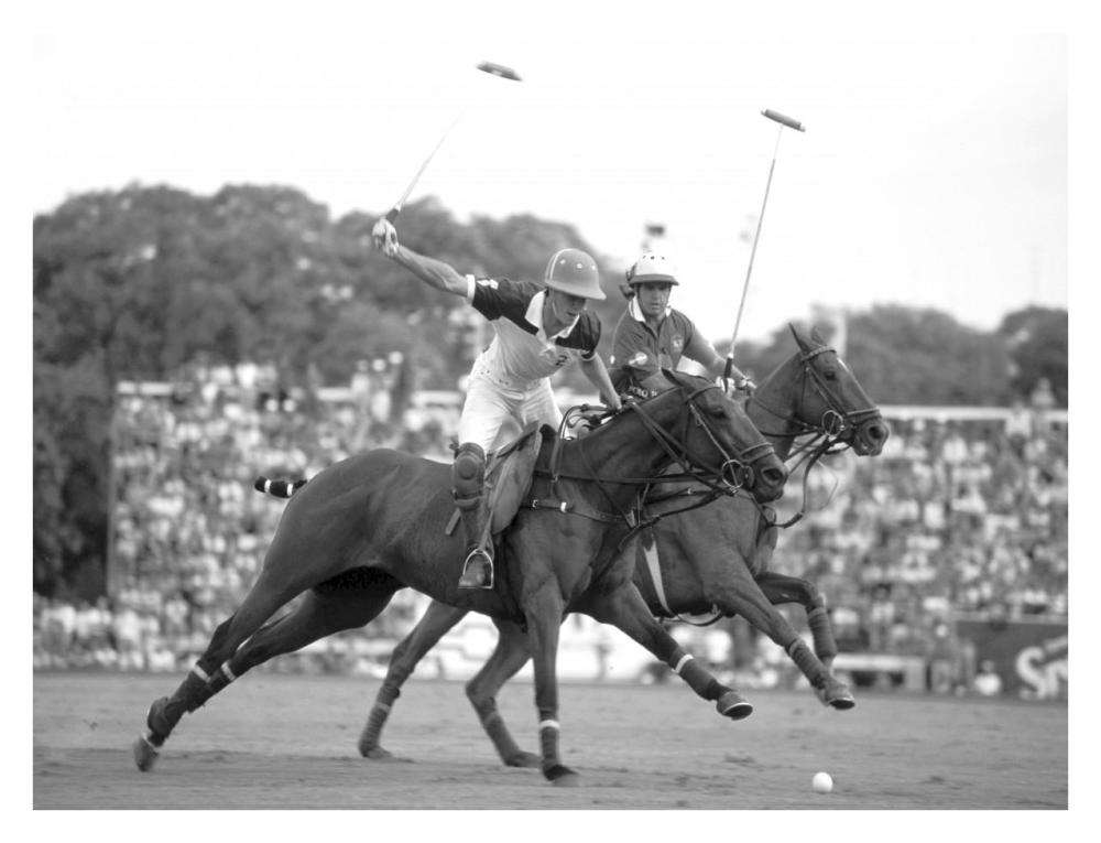 Polo players, Argentina-Paper Art-34"x26"