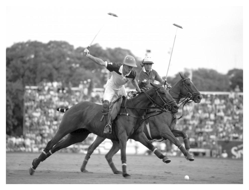 Polo players, Argentina-Paper Art-42"x32"